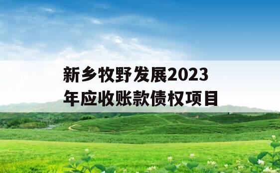 新乡牧野发展2023年应收账款债权项目