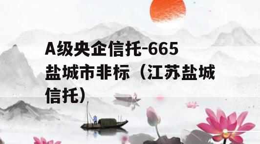 A级央企信托-665盐城市非标（江苏盐城信托）