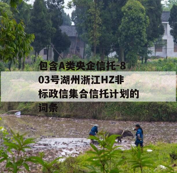 包含A类央企信托-803号湖州浙江HZ非标政信集合信托计划的词条