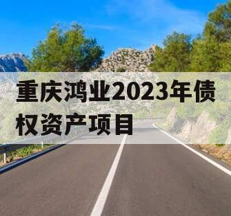 重庆鸿业2023年债权资产项目