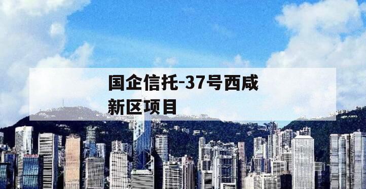 国企信托-37号西咸新区项目
