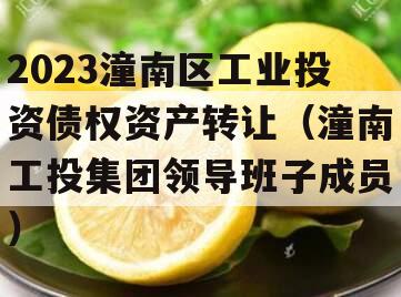 2023潼南区工业投资债权资产转让（潼南工投集团领导班子成员）