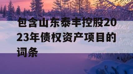 包含山东泰丰控股2023年债权资产项目的词条