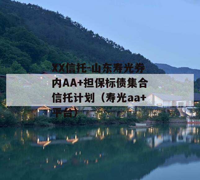 XX信托-山东寿光券内AA+担保标债集合信托计划（寿光aa+平台）