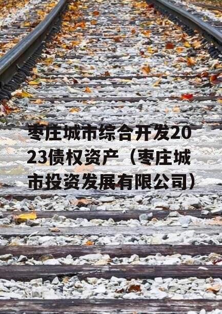 枣庄城市综合开发2023债权资产（枣庄城市投资发展有限公司）