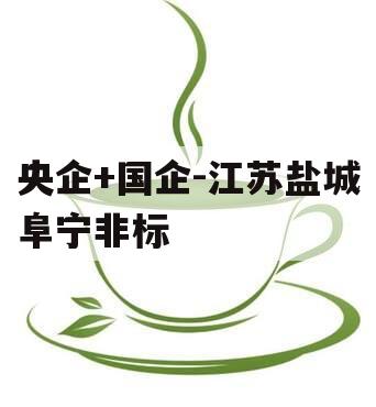央企+国企-江苏盐城阜宁非标