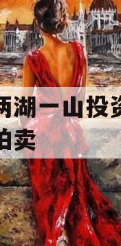 简阳两湖一山投资债权资产拍卖