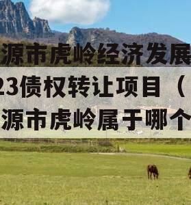 济源市虎岭经济发展2023债权转让项目（济源市虎岭属于哪个区）