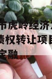 济源市虎岭经济发展2023债权转让项目政府债定融