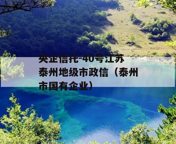 央企信托-40号江苏泰州地级市政信（泰州市国有企业）