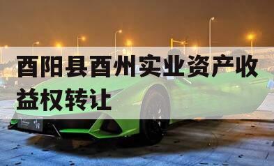 酉阳县酉州实业资产收益权转让 酉阳县酉州实业资产收益权转让