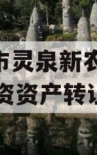 成都市灵泉新农投2023年资资产转让