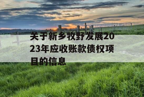 关于新乡牧野发展2023年应收账款债权项目的信息