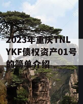 2023年重庆TNLYKF债权资产01号的简单介绍