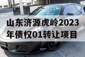 山东济源虎岭2023年债权01转让项目