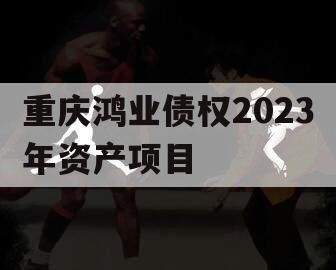 重庆鸿业债权2023年资产项目