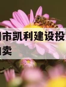 资阳市凯利建设投资债权拍卖
