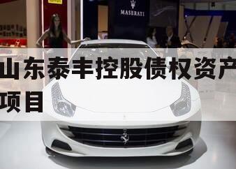 山东泰丰控股债权资产项目