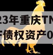 2023年重庆TNLYKF债权资产01号