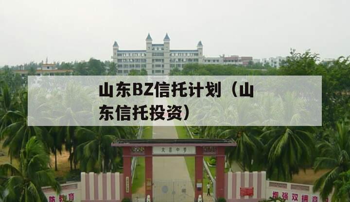 山东BZ信托计划（山东信托投资）