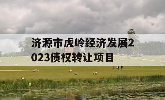 济源市虎岭经济发展2023债权转让项目