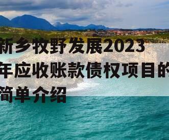 新乡牧野发展2023年应收账款债权项目的简单介绍