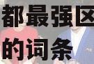 包含成都最强区——政信产品的词条