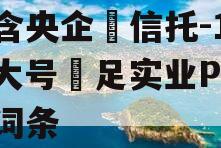 包含央企‬信托-10‮大号‬足实业PPN的词条