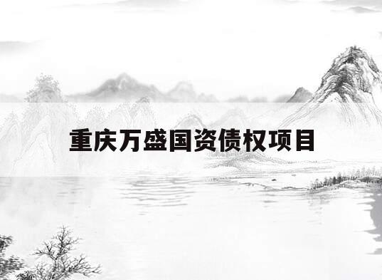 重庆万盛国资债权项目