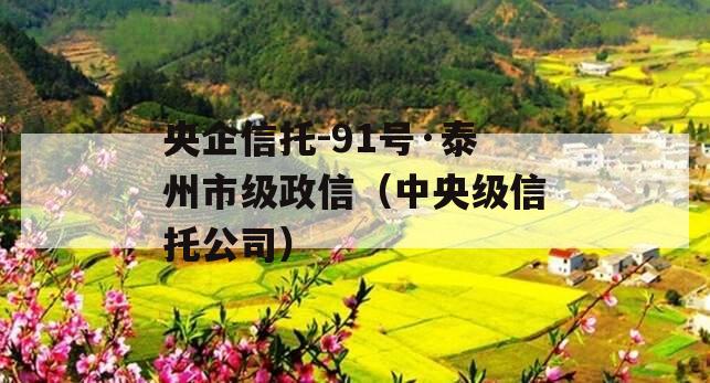 央企信托-91号·泰州市级政信（中央级信托公司）