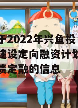 关于2022年兴鱼投资建设定向融资计划政府债定融的信息
