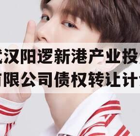 武汉阳逻新港产业投资有限公司债权转让计划