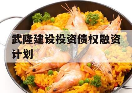 武隆建设投资债权融资计划