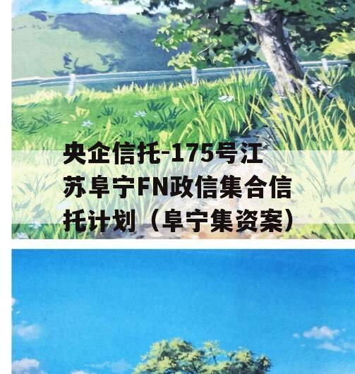 央企信托-175号江苏阜宁FN政信集合信托计划（阜宁集资案）