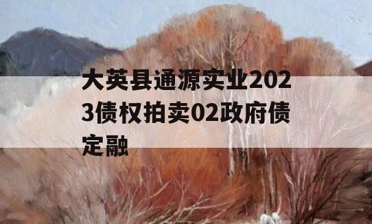 大英县通源实业2023债权拍卖02政府债定融