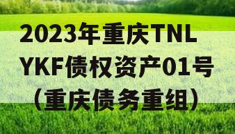 2023年重庆TNLYKF债权资产01号（重庆债务重组）