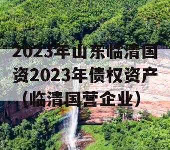 2023年山东临清国资2023年债权资产（临清国营企业）