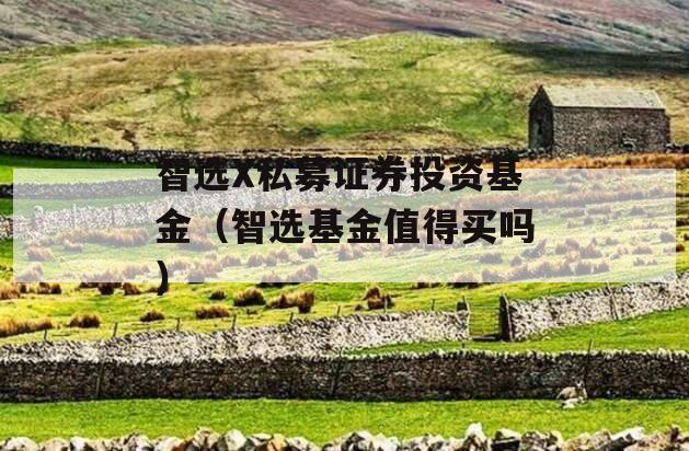 智选X私募证券投资基金（智选基金值得买吗）