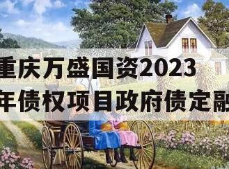 重庆万盛国资2023年债权项目政府债定融
