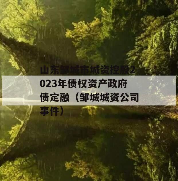 山东邹城市城资控股2023年债权资产政府债定融（邹城城资公司事件）