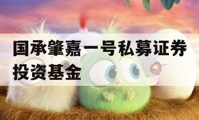 国承肇嘉一号私募证券投资基金