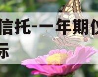 XX信托-一年期仪征非标