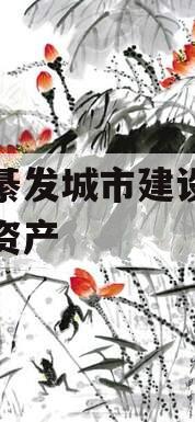 重庆綦发城市建设发展债权资产