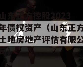 山东正方控股2023年债权资产（山东正方土地房地产评估有限公司）