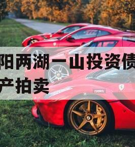 简阳两湖一山投资债权资产拍卖