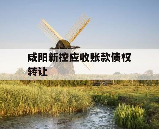 咸阳新控应收账款债权转让
