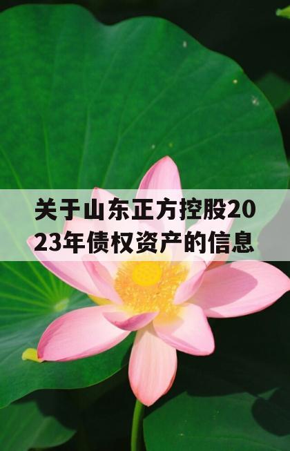 关于山东正方控股2023年债权资产的信息