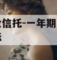 国企信托-一年期仪征非标