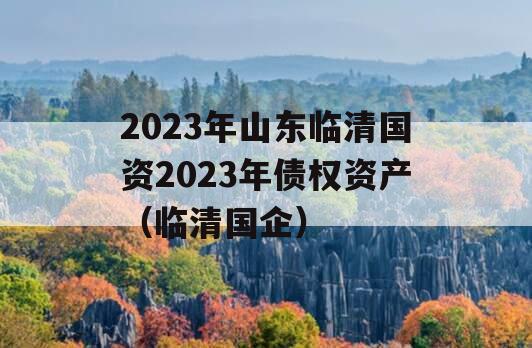 2023年山东临清国资2023年债权资产（临清国企）