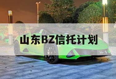 山东BZ信托计划